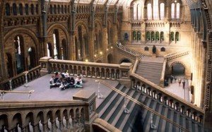 natural_history museum