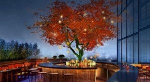 sushisamba